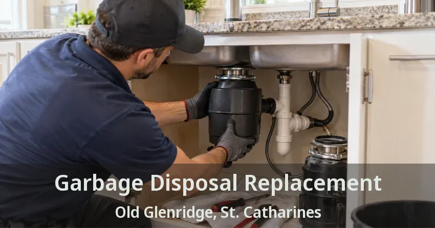 Garbage Disposal Replacement Old Glenridge, St. Catharines - ON