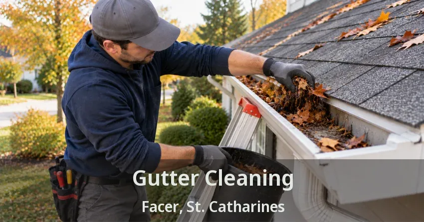 Gutter Cleaning Facer, St. Catharines - ON