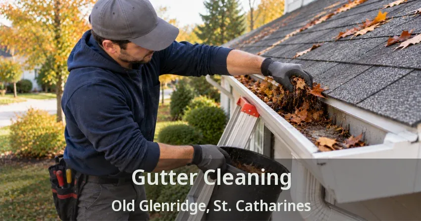 Gutter Cleaning Old Glenridge, St. Catharines - ON
