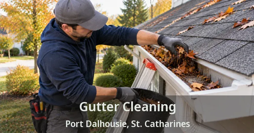 Gutter Cleaning Port Dalhousie, St. Catharines - ON
