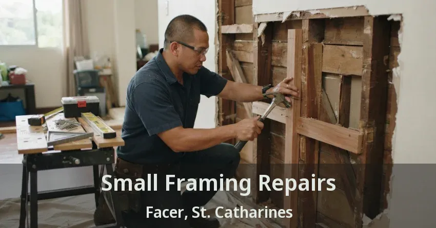 Small Framing Repairs Facer, St. Catharines - ON