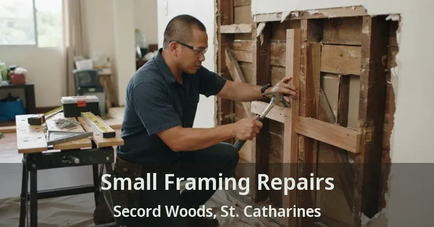 Small Framing Repairs Secord Woods, St. Catharines - ON