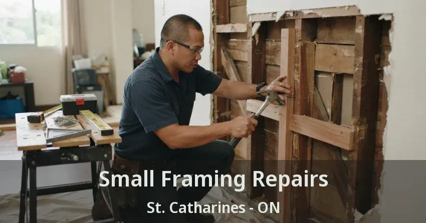 Small Framing Repairs St. Catharines - ON