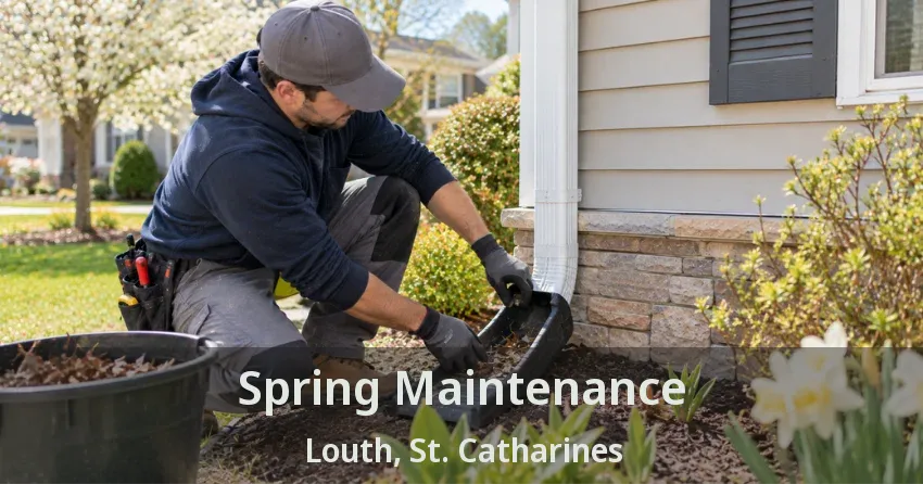Spring Maintenance Louth, St. Catharines - ON
