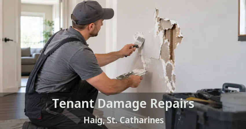 Tenant Damage Repairs Haig, St. Catharines - ON