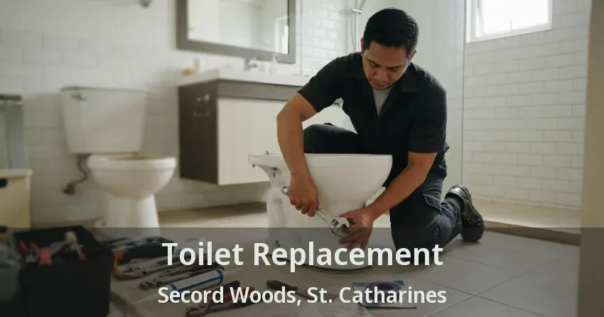Toilet Replacement Secord Woods, St. Catharines - ON