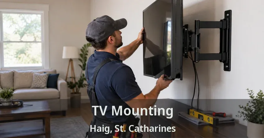 TV Mounting Haig, St. Catharines - ON