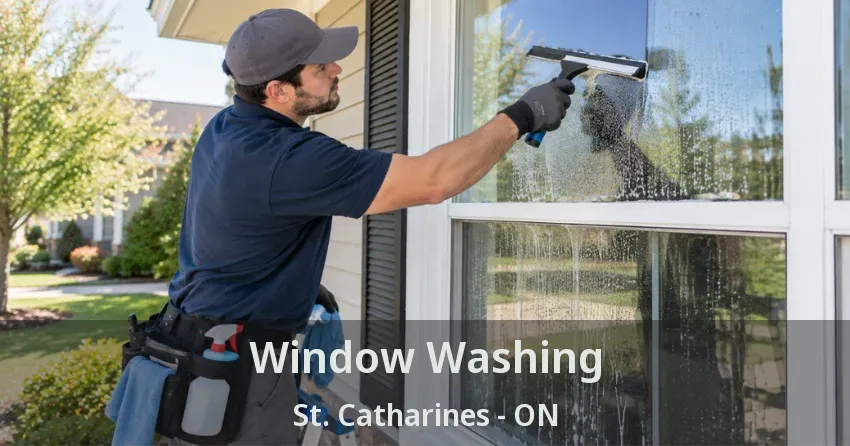 Window Washing St. Catharines - ON